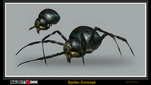 Spider concept