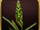 Common Grass.png