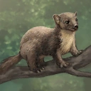 Sable | Official Uncharted Waters Wiki | Fandom
