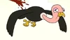Vulture