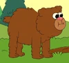 Bear Cub
