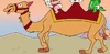 Camel