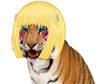 Giant Realistic Flying Tiger | Uncle Grandpa Wiki | Fandom, حجم الصورة 200x168