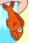 Goldfish TMTM