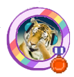 Badge-category-2