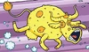 Lemon Moo