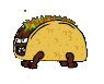 Taco wolf in reckless road trip