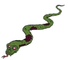 Snake transparent