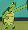 Wen's Turtle