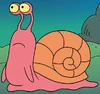 Sea Snail