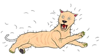 Hairless grft