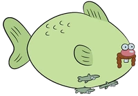 UG Carp