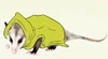 Possum