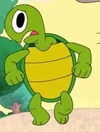 Tortoise