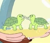 Baby Turtles
