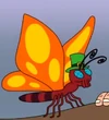 Irish Butterfly