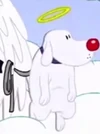 Bobby Fontana's Dog