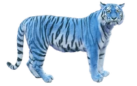 Blue grft