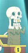 Wisdom Skull
