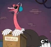 Ostrich Producer