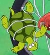 Turtle UG