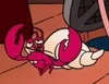 Hermit Crab