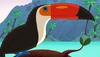 Toucan