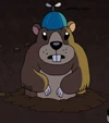 Woodchucks