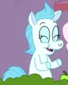 Colgate Pony