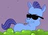Cool Pony