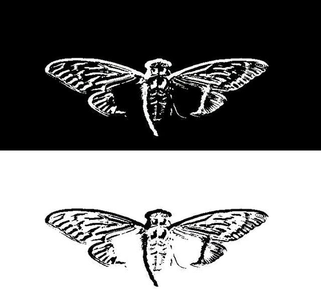 カシワギ Origin of Cicada 3301 logo | Uncovering Cicada Wiki | Fandom