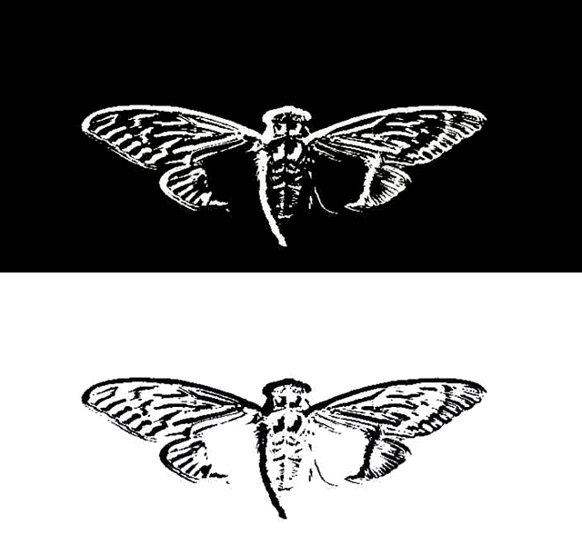 Origin Of Cicada 3301 Logo Uncovering Cicada Wiki Fandom