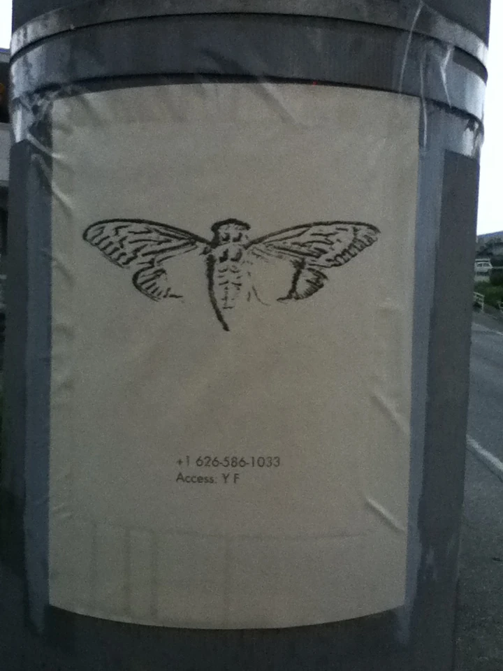 OKINAWA | Uncovering Cicada Wiki | Fandom