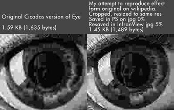 Eyestestexperiment.jpg