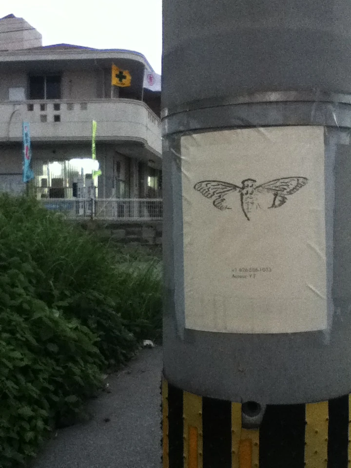 OKINAWA | Uncovering Cicada Wiki | Fandom