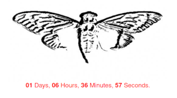 845145127.com countdown