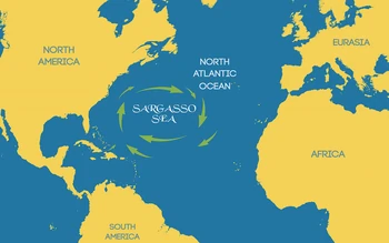 The Sargasso Sea