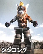 Shishi Kong.jpeg (423 KB) Shishi Kong