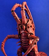 Crustacean Monster, Ise Evidas