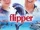 Flipper (1996 film)
