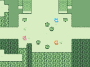 Страна мужчины