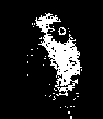 Flowey's face