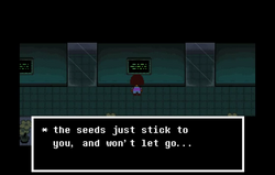金色花朵 Undertale Wiki Fandom