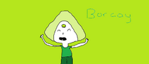 BORCAY.png