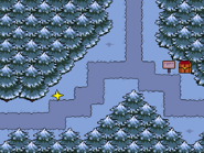 Boîte dans la Forêt de Couveneige