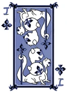 Прототип Кловер