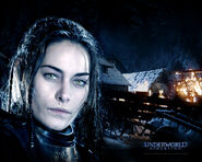 Cartel promocional para Underworld: Evolution con Amelia.