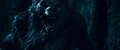 Stills 1458204 2.jpg (51 KB) Lucian in Werewolf form.