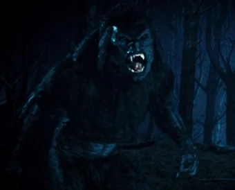 Lucian Underworld Wiki Fandom