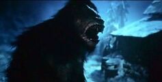 A Werewolf transforming in Underworld: Evolution.